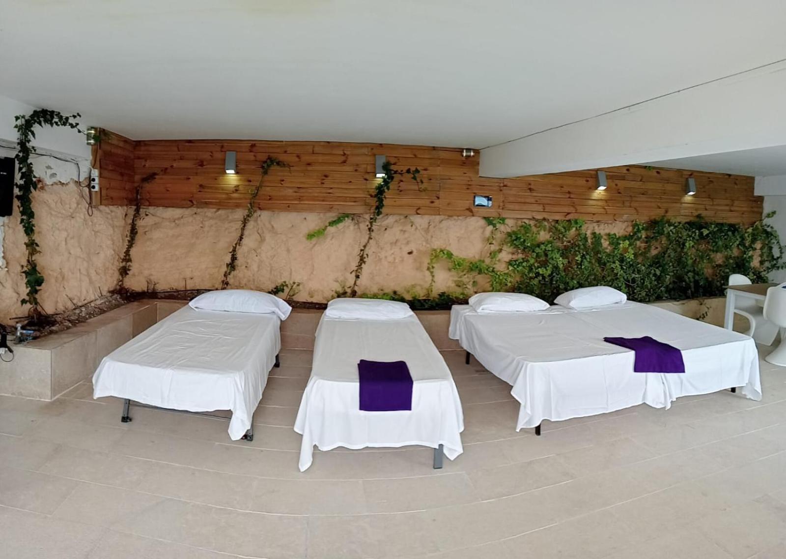 Exclusive Seafront Villa,Private Pool,Gym,Bbq 埃尔托罗 外观 照片