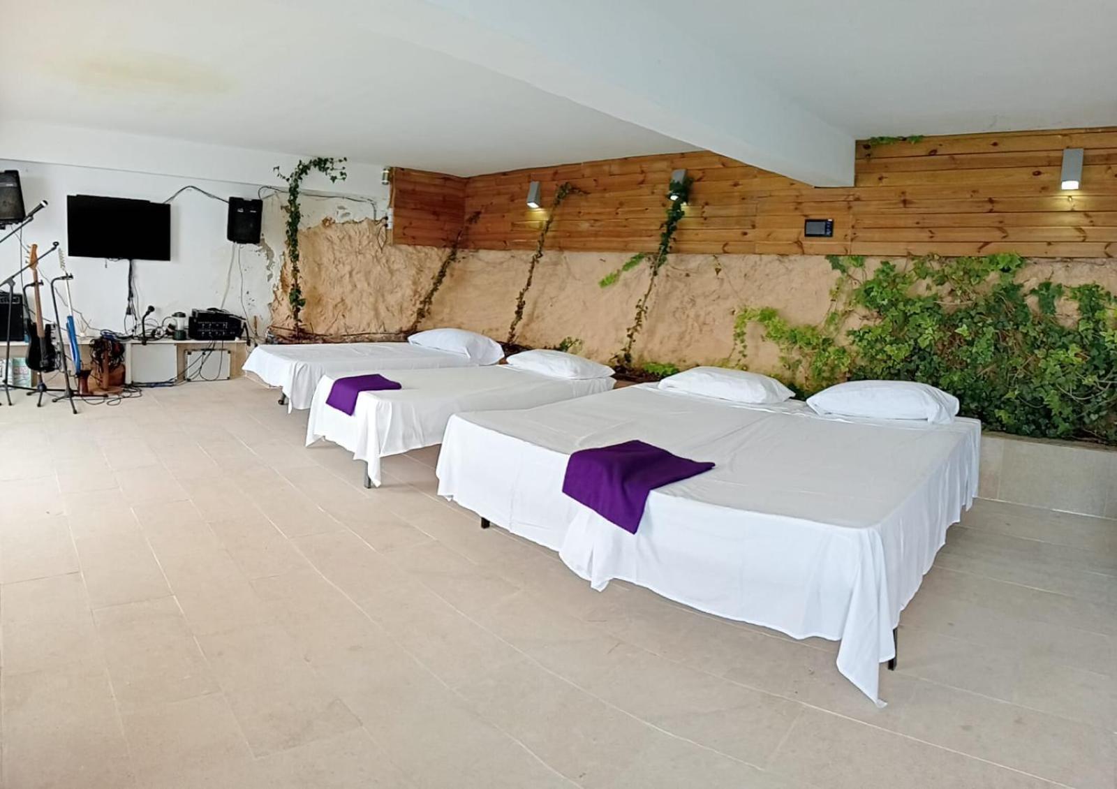 Exclusive Seafront Villa,Private Pool,Gym,Bbq 埃尔托罗 外观 照片